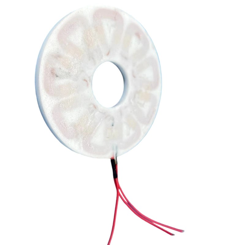 300W 3 Fazlı Çekirdeksiz Disk  - Wind Turbine Generator incelemesi ve fiyatı
